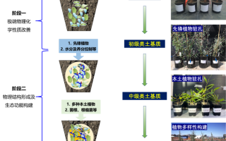 尾矿成土生态工程：理论与技术