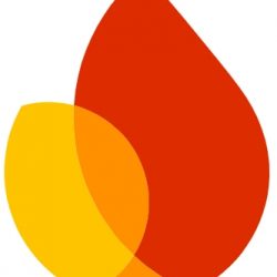 Firebase
